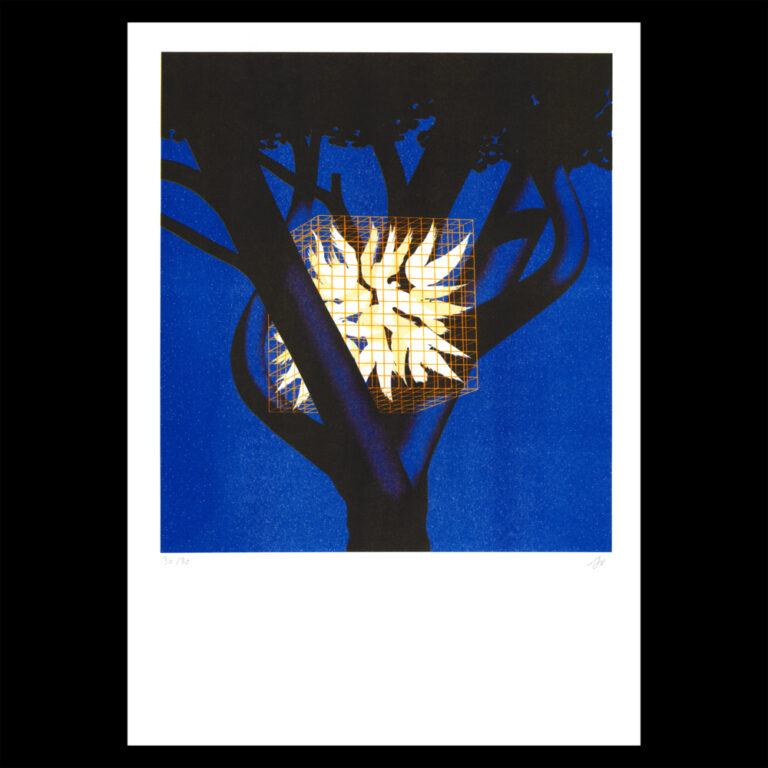 Sébastien Plassard - Flamboyant