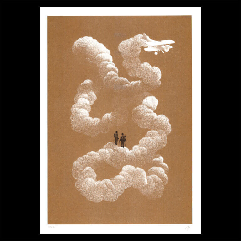 Sébastien Plassard - Avion