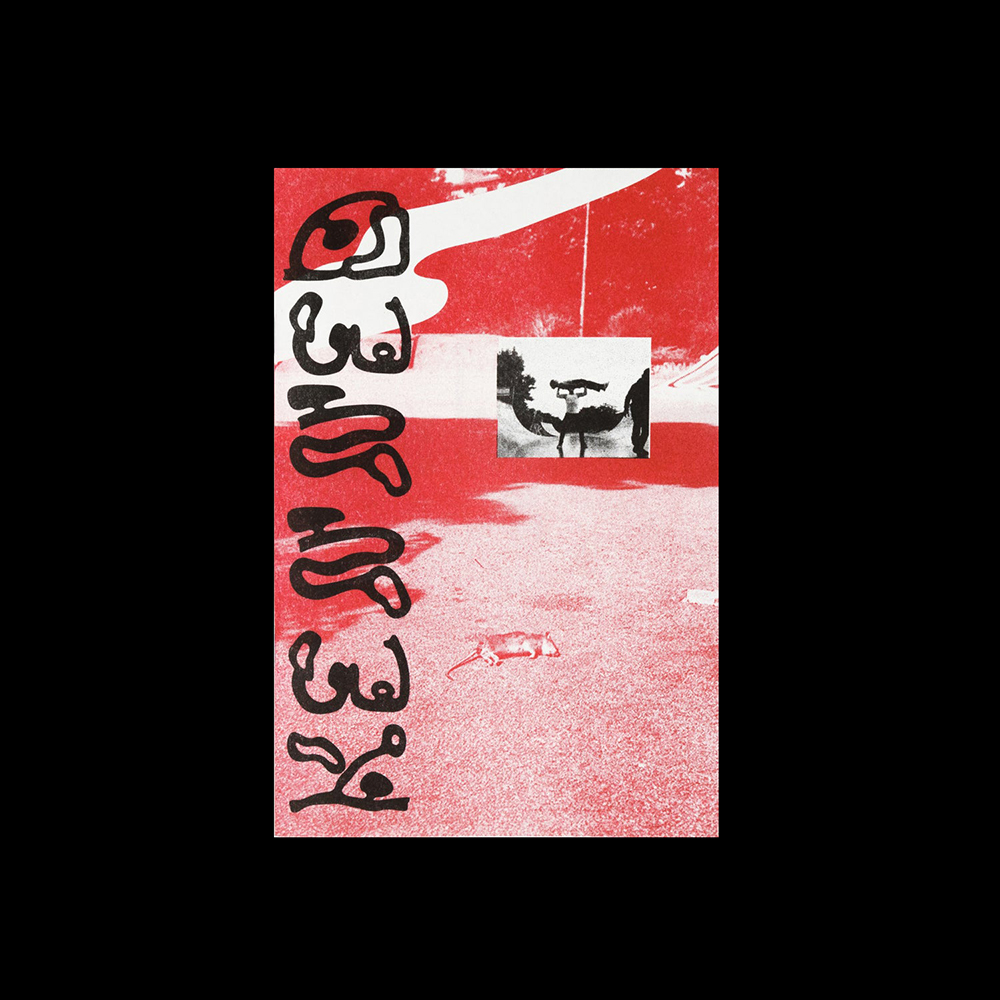 SUPERBANCO-RISO_BREST_NATHALIEBIHAN_KENNED