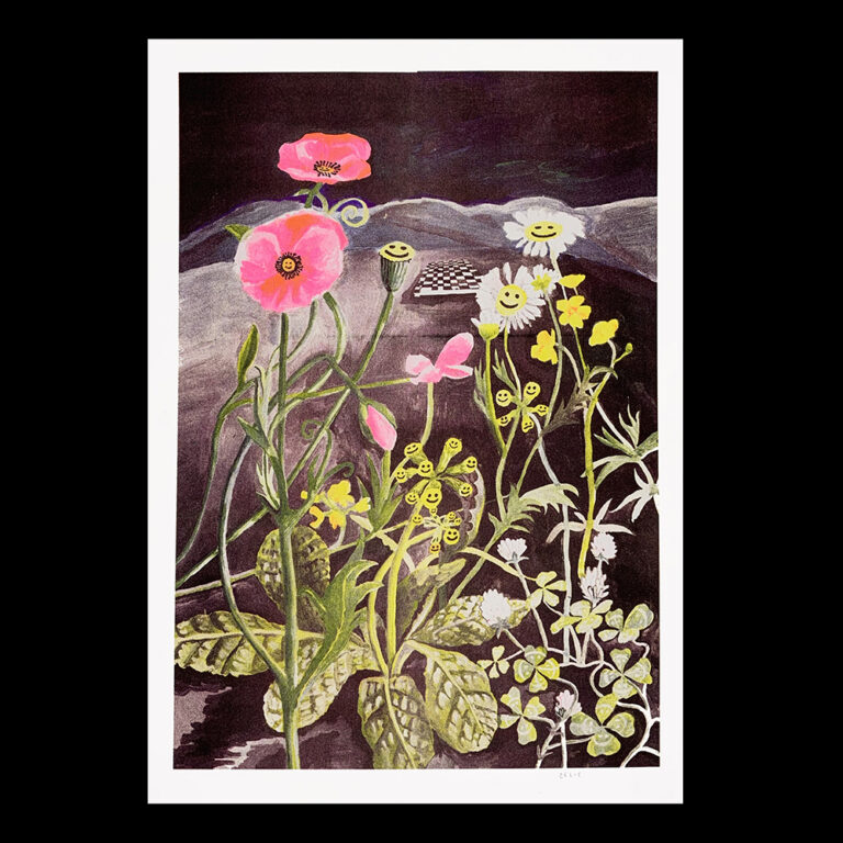 Zélie Boulestreau -  Le bouton d’or, le coucou, le lotier corniculé, la marguerite, le trèfle