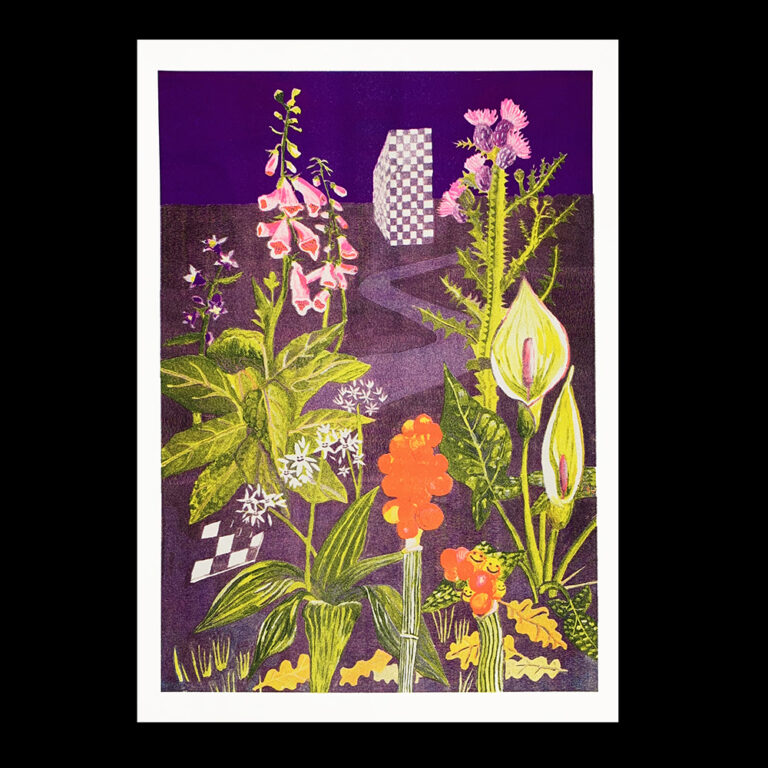 Zélie Boulestreau - La digitale, la campanule gantelée, l’ail des ours, l’arum maculé, le chardon des marais