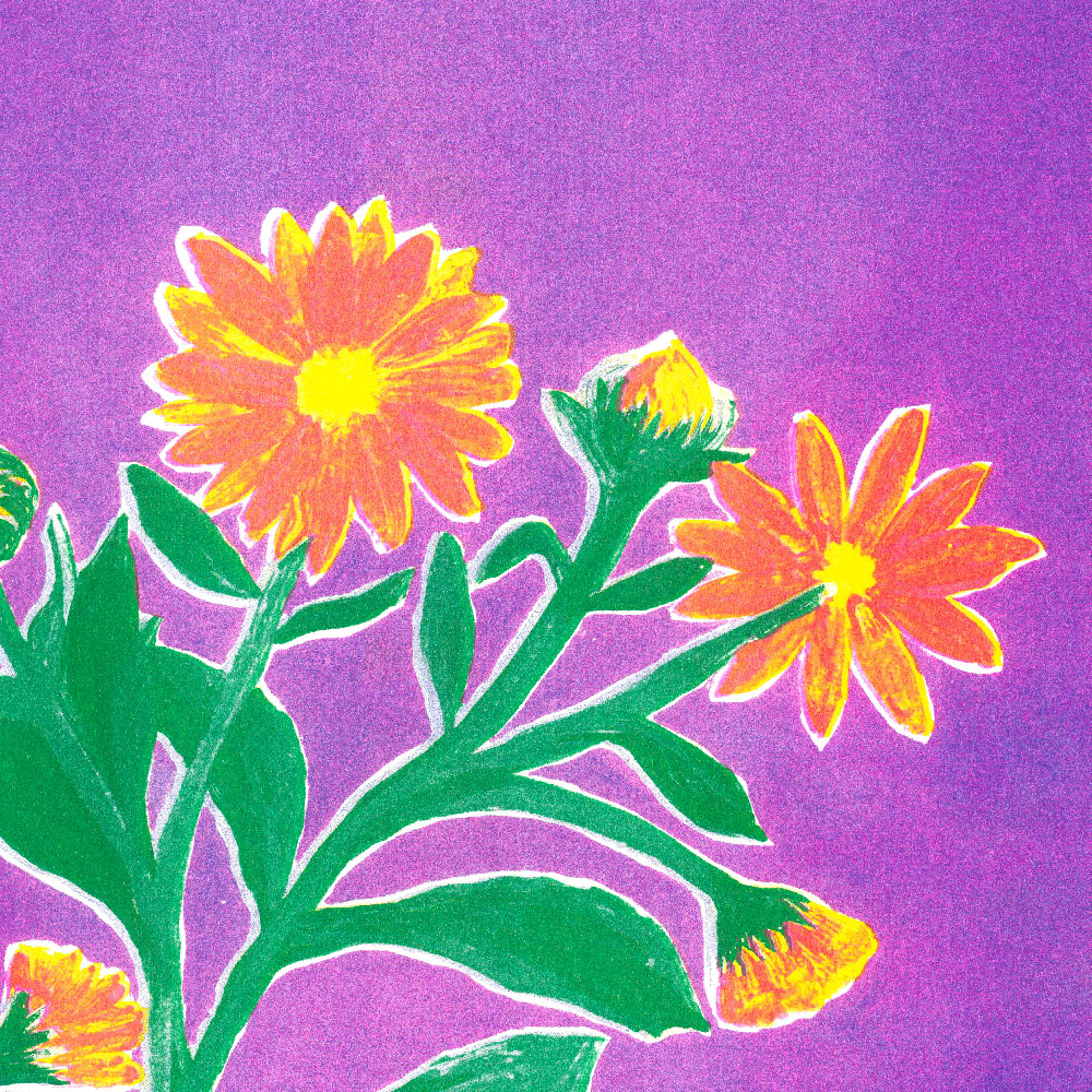 Lea Maraszek_10_lesouci2_super banco_riso_