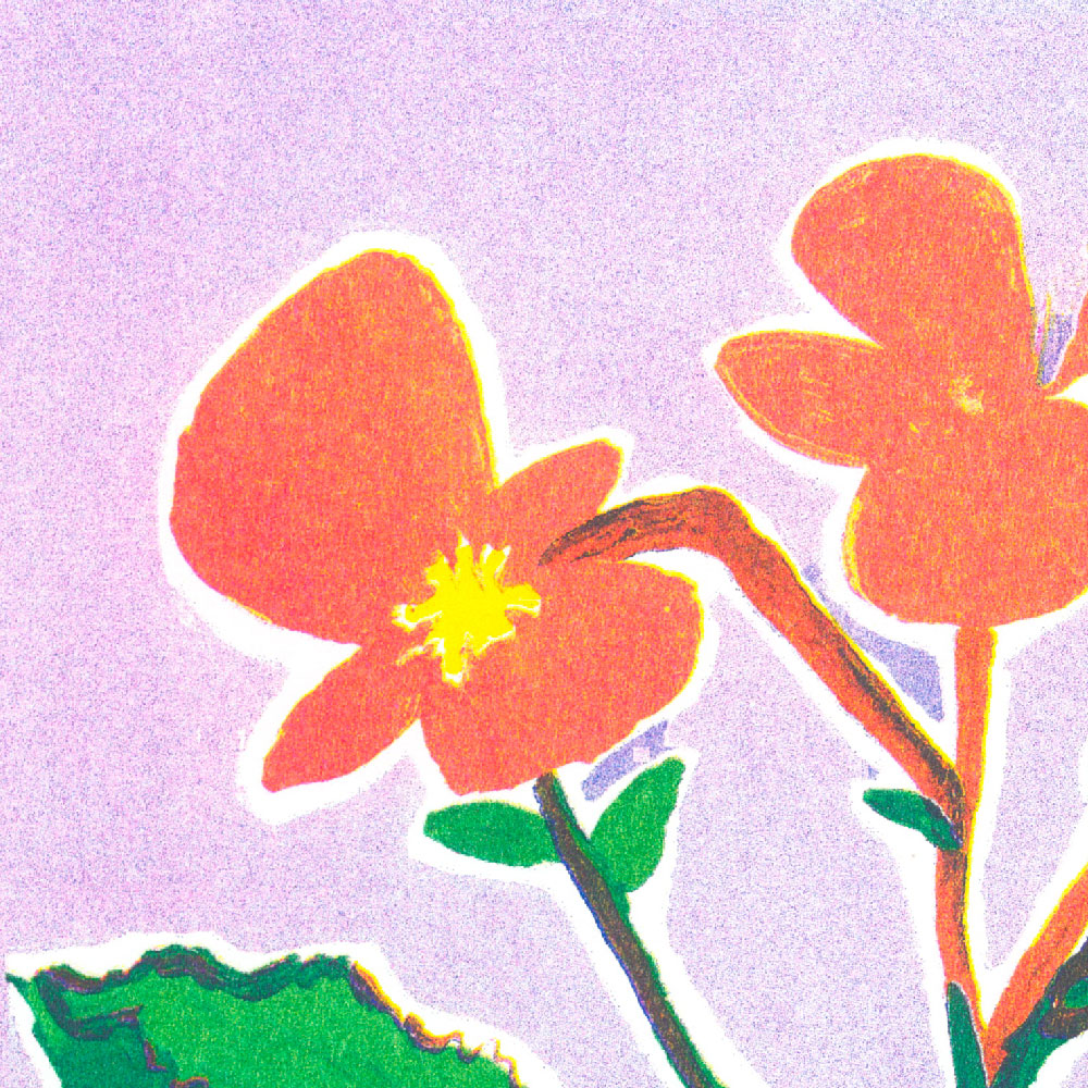 Lea Maraszek_11_lebegonia2_super banco_riso_