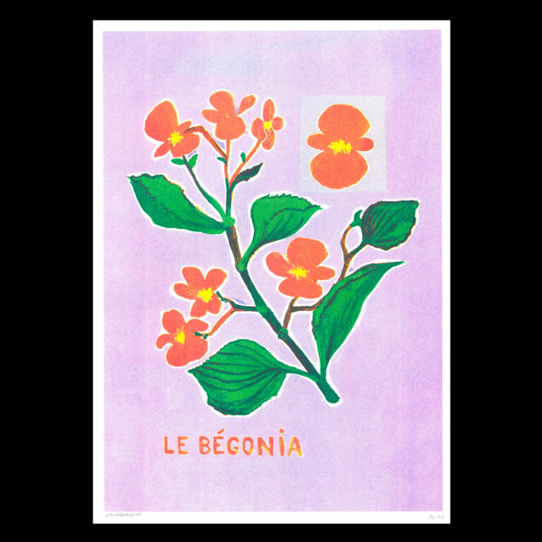 Léa Maraszek - Le Begonia