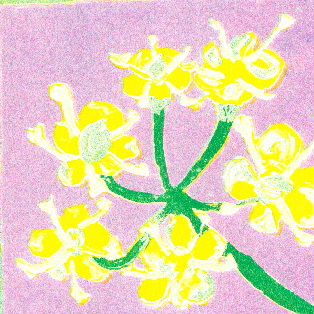 Lea Maraszek_12_lefenouil2_super banco_riso_