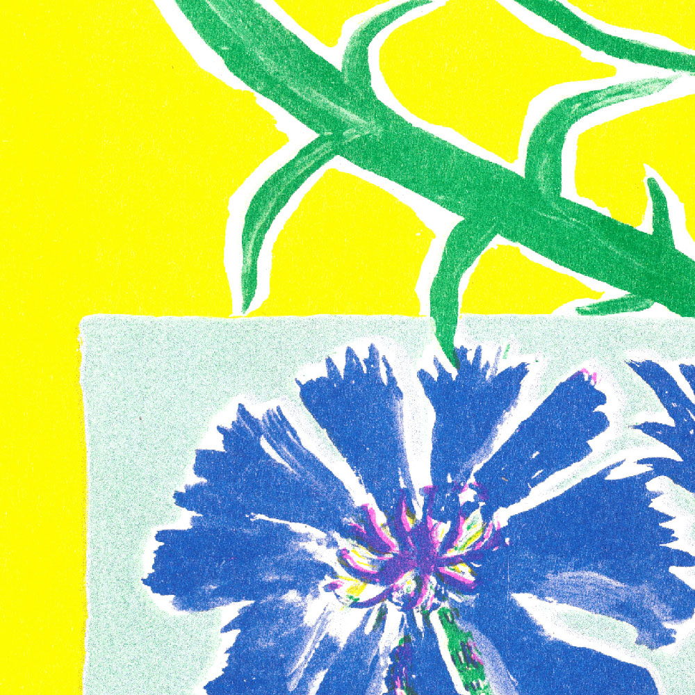 Lea Maraszek_1_lebleuet2_super banco_riso_