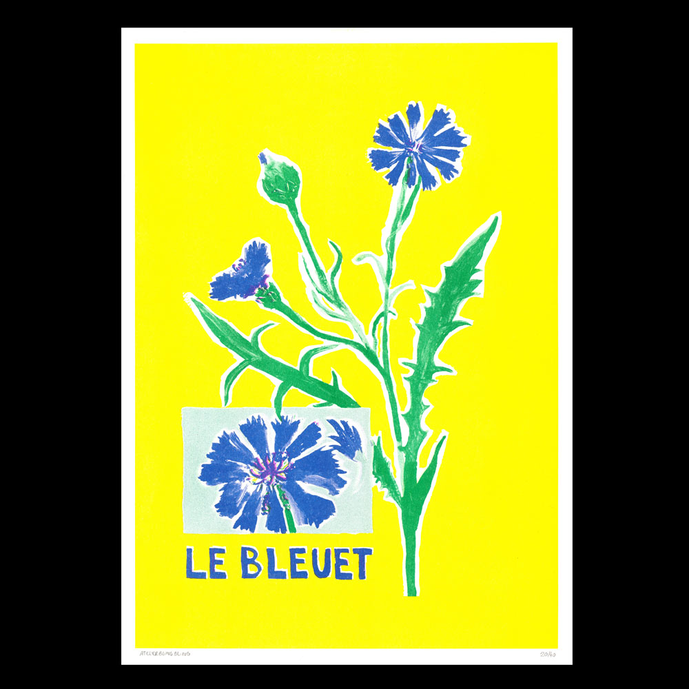 Lea Maraszek_1_lebleuet_super banco_riso_