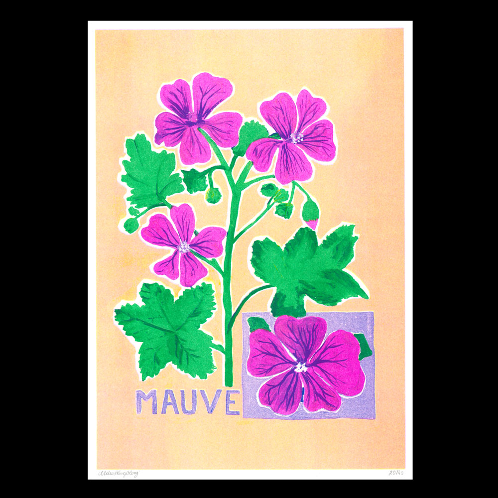 Lea Maraszek_2_mauve_super banco_riso_