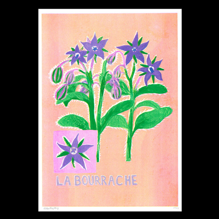 Léa Maraszek - La Bourrache