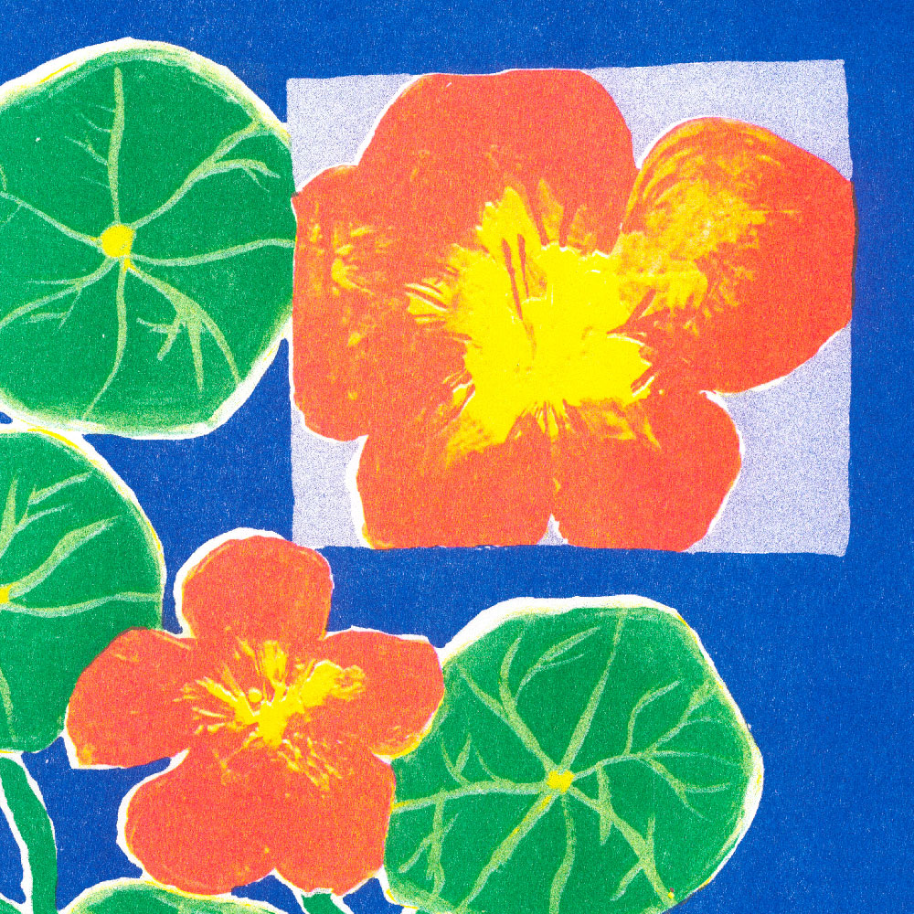 Lea Maraszek_5_lacapucine2_super banco_riso_