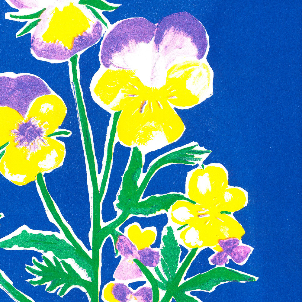 Lea Maraszek_6_lapenseeacorne2_super banco_riso_