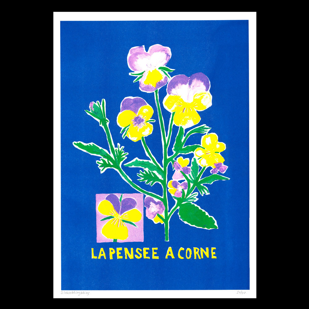 Lea Maraszek_6_lapenseeacorne_super banco_riso_