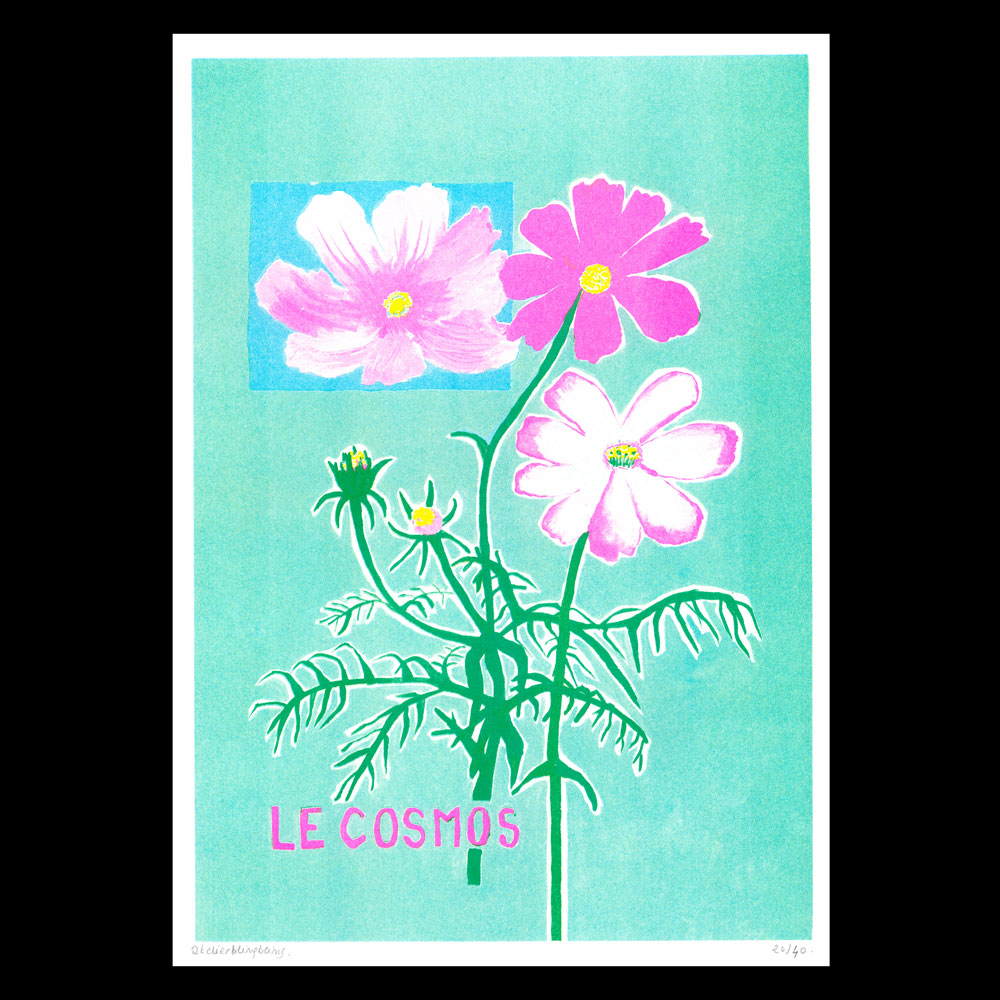 Lea Maraszek_7_lecosmos_super banco_riso_