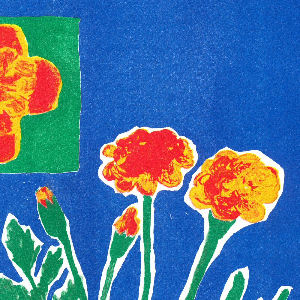 Lea Maraszek_8_oeilletdinde2_super banco_riso_