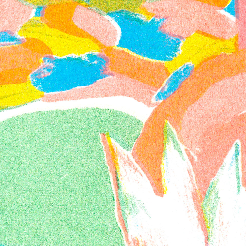 Coline Brangeon_fleurdanslassiette2_super banco_riso_