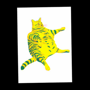 Nathalie Bihan - Gros chat 1