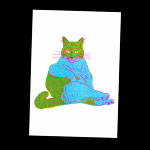 Nathalie Bihan - Gros chat 11