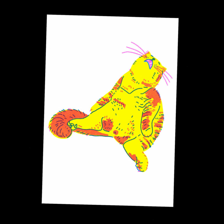 Nathalie Bihan - Gros chat 12