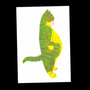 Nathalie Bihan - Gros chat 13