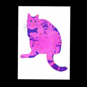 Nathalie Bihan - Gros chat 14