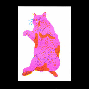 Nathalie Bihan - Gros chat 17