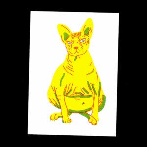 Nathalie Bihan - Gros chat 18