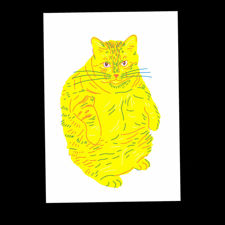 Nathalie Bihan - Gros chat 20