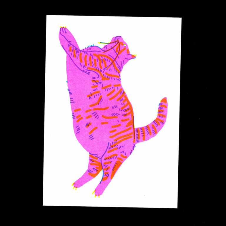 Nathalie Bihan - Gros chat 3