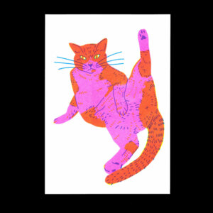 Nathalie Bihan - Gros chat 4