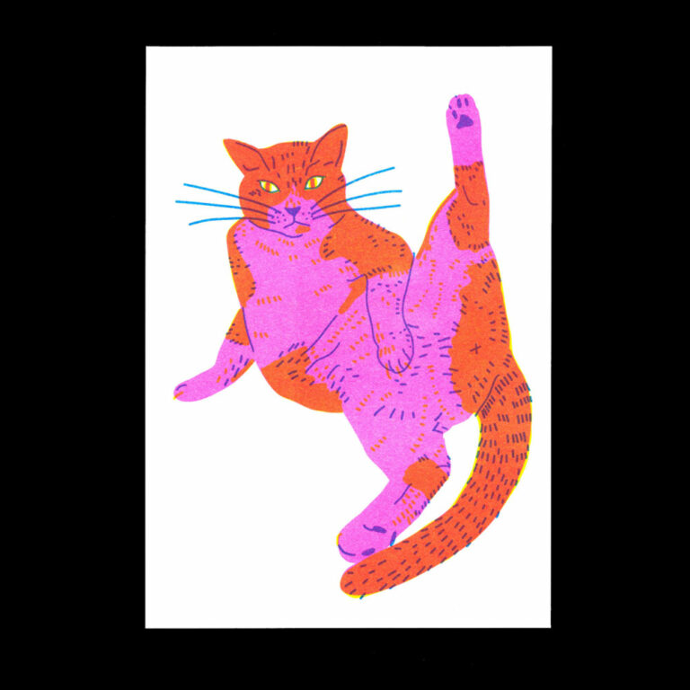 Nathalie Bihan - Gros chat 4