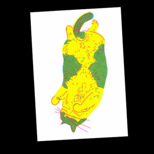 Nathalie Bihan - Gros chat 5