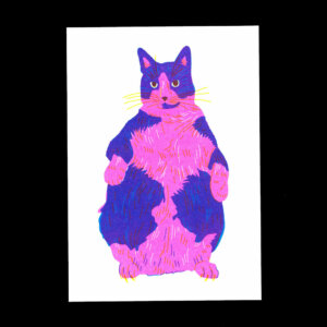 Nathalie Bihan - Gros chat 7