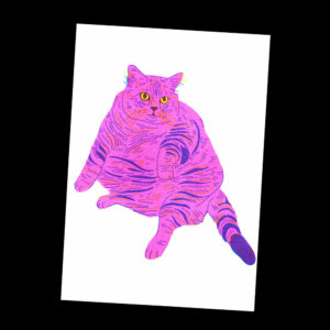 Nathalie Bihan - Gros chat 8