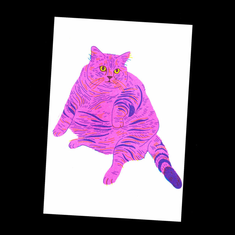 Nathalie Bihan - Gros chat 8