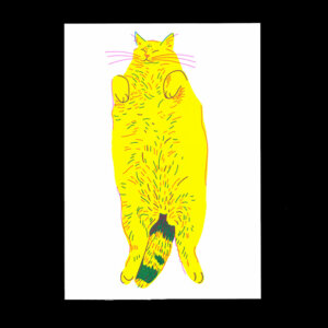 Nathalie Bihan - Gros chat 9