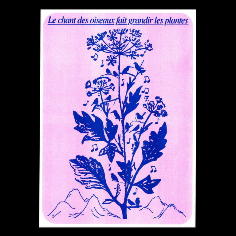 Guillaume Berneau - Le chant des oiseaux fait grandir les plantes