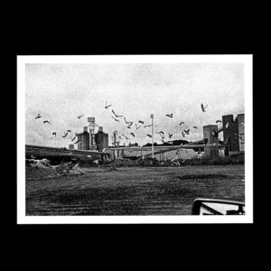 Gilles Walusinski - Le port de commerce - 1992