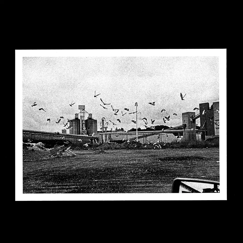 GillesWalusinski_Depuis la voiture_brest