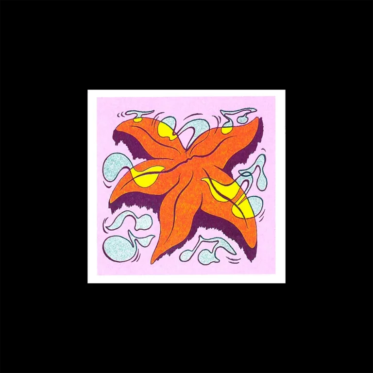 Anaïs Rallo — Singing Starfish