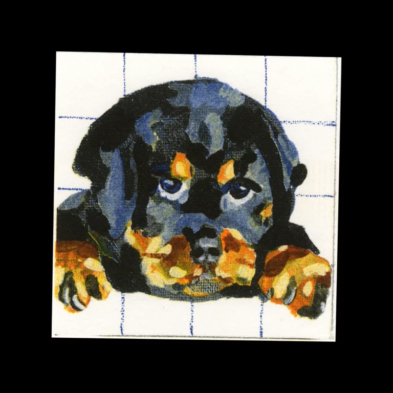 Lucie Collobert — Wouf 4